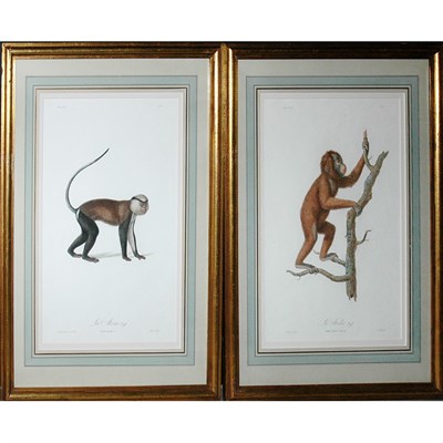 Lot 68 - Jean-Baptiste Audebert LE JOCKO; LA MONE Two...
