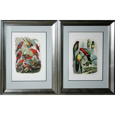 Lot 69 - After Gustav Mutzel [PARROT STUDIES] Two...