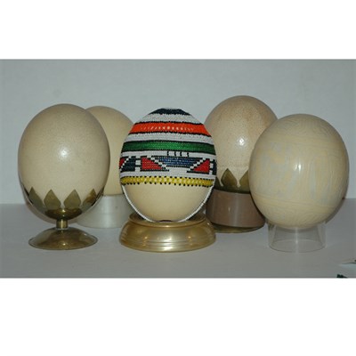 Lot 225 - Group of Five Ostrich Eggs Including one with...