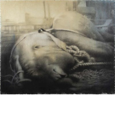 Lot 139 - Joseph Stashkevetch American, b. 1958 Jumbo #1,...