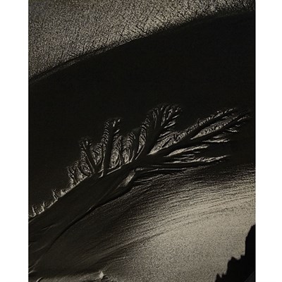 Lot 143 - BERNHARD, RUTH (1905-2006) Oregon Coast 1968....