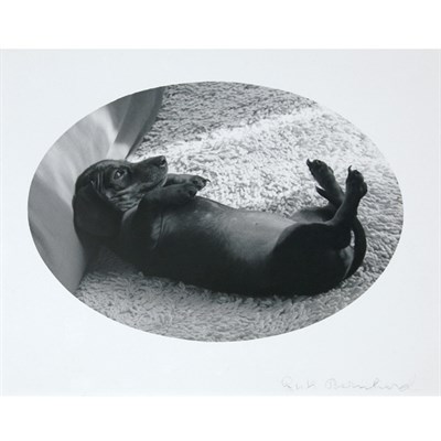Lot 141 - BERNHARD, RUTH (1905-2006) [Dachshund]. Silver...