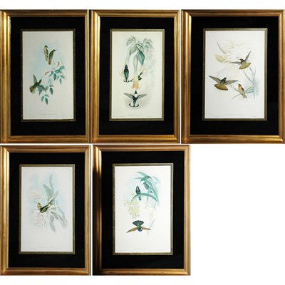 Lot 107 - J. Gould & H. C. Richter AGLAEACTIS...