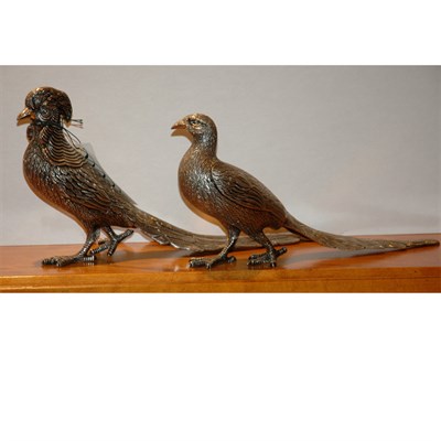 Lot 397 - Pair of Mexican Silver Pheasants Length of...