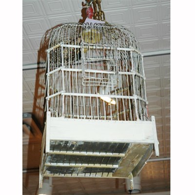 Lot 567 - Painted Metal and Wood Bird Cage Height 23...