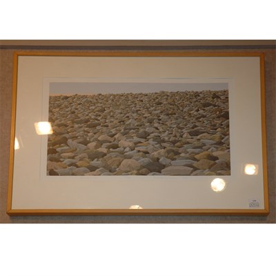 Lot 120 - David B. Gillespie STRAND LINE Color...