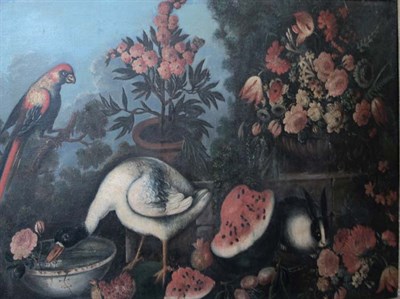 Lot 36 - Italian School 20th Century Parrot, Duck,...