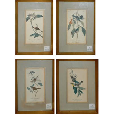 Lot 91 - After John James Audubon BACHMAN'S PINEWOOD...