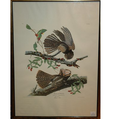 Lot 113 - After John James Audubon CHUCK WILL'S WIDOW...