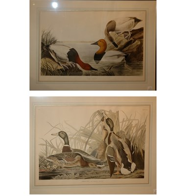 Lot 105 - After John James Audubon CANVAS BACKED DUCK;...