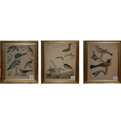 Lot 107 - After A. Wilson [BIRD STUDIES] Three...