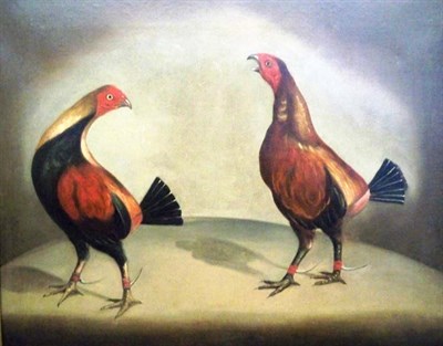 Lot 8 - European School 19th Century Fighting Cocks:...