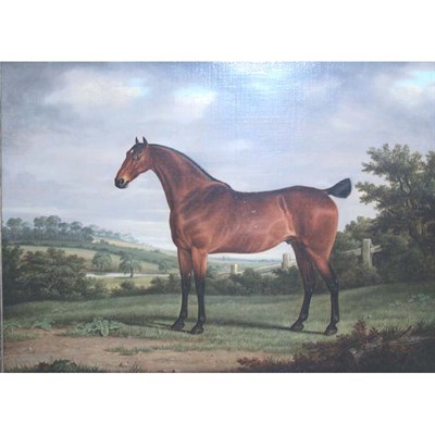 Lot 59 - George Stevens Champion Racehorse Signed G....