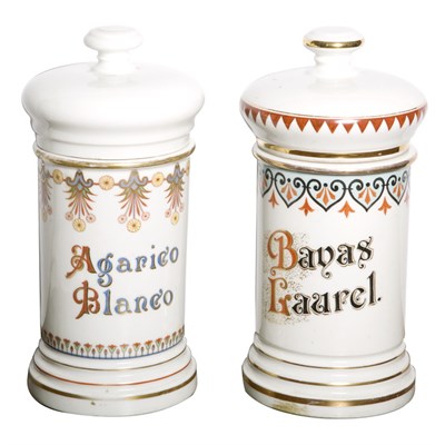 Lot 140 - Two Continental Porcelain Apothecary Jars...
