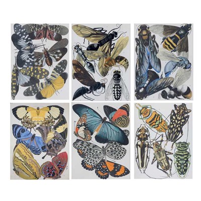 Lot 229 - E. A. Seguy (1889-1985) [BUTTERFLY AND INSECT...