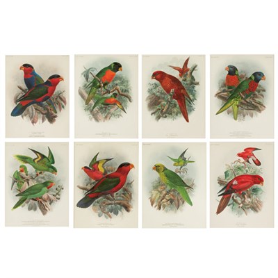 Lot 129 - John Gerrard Keulemans (1842-1912) [PARROT...