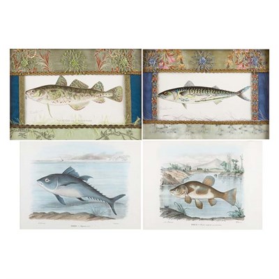 Lot 206 - After Raimondo Petraroja [FISH STUDIES] Two...