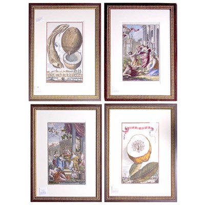 Lot 245 - Johann Christoph Volckamer (1644-1720) [PLANT...