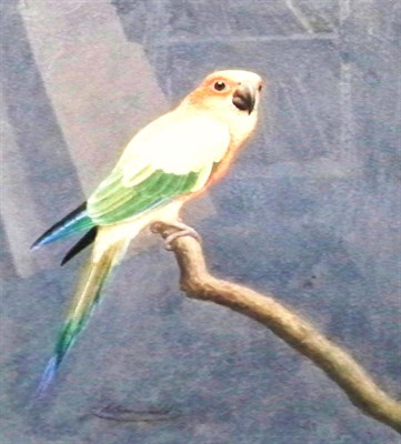 Lot 230 - H. Goodchild British, 19th Century Natural...