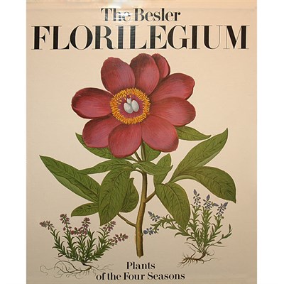 Lot 593 - AYMONIN, GERARD G. The Besler Florilegium....