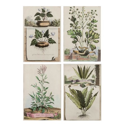 Lot 113 - After Abraham Munting (1626-1683) [PLANT...