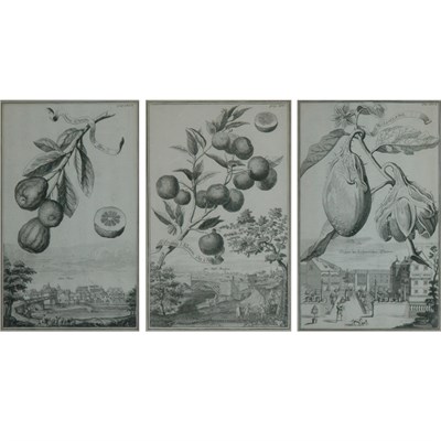 Lot 68 - Artist Unknown [FRUIT AND LANDSCAPE STUDIES]...