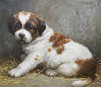 Lot 79 - Anton Karssen Dutch, b. 1945 A St. Bernard Pup...