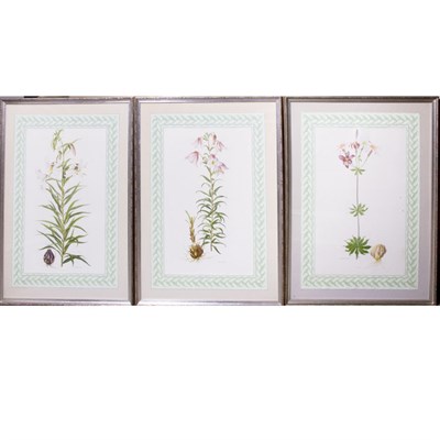 Lot 90 - Margaret Stones [FLOWER STUDIES] Three color...