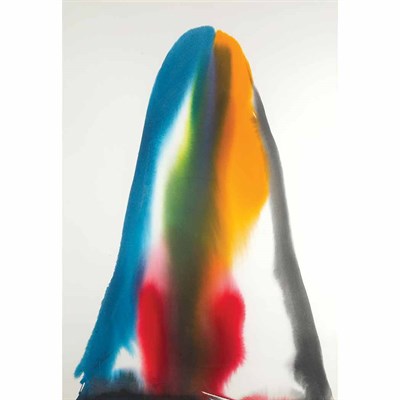 Lot 21 - Paul Jenkins American, b. 1923 Phenomena Lobo...