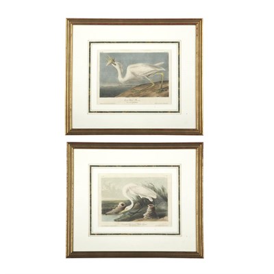 Lot 72 - After John James Audubon GREAT WHITE HERON;...
