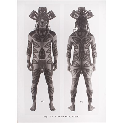 Lot 20 - Willie Cole (b. 1955) FIG. 1 & 2. SILEX MALE,...