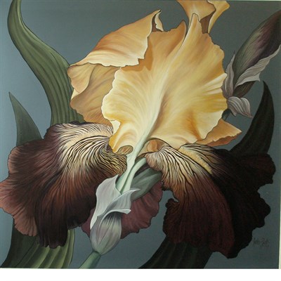 Lot 91 - John Zok 20th Century Bearded German Iris...
