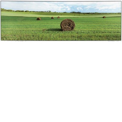 Lot 103 - MACKENZIE, MAXWELL Maine Township Field,...