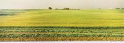 Lot 119 - MACKENZIE, MAXWELL. Sverdrup Township...