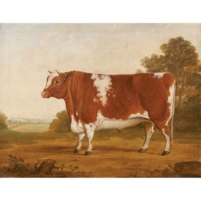 Lot 69 - Circle of William Henry Davis Hereford Bull...
