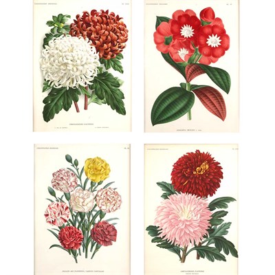 Lot 520 - Jean Jules Linden (1817-1898), publisher...