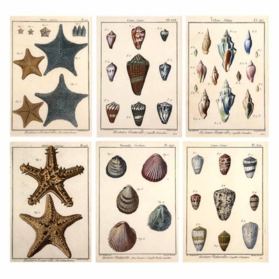 Lot 457 - Charles Joseph Panckoucke, editor [SHELL...