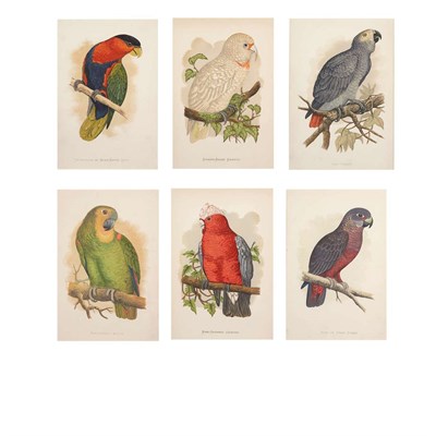 Lot 362 - Alexander Francis Lydon (1836-1917) [PARROT...