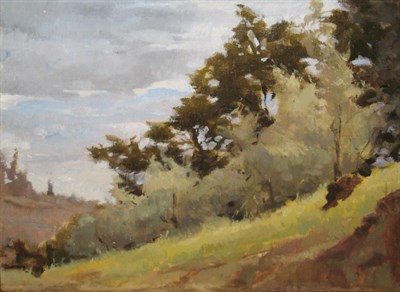Lot 51 - Angel Ramiro Sanchez Venezuelan, b. 1974 In...