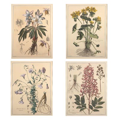 Lot 62 - After Nicholas Robert [FLOWER STUDIES] Four...