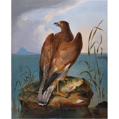 Lot 102 - European School, Manner of John James Audubon...