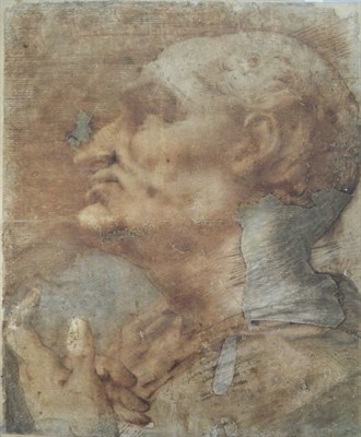 Lot 2 - Florentine School Early 16th Century Male Head...