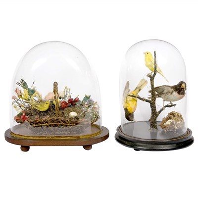 Lot 228 - Group of Eight Victorian Glass Domes Each...