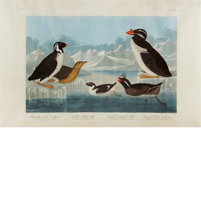 Lot 87 - After John James Audubon BLACK-THROATED...
