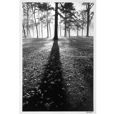 Lot 29 - EISENSTAEDT, ALFRED (1898-1995) [Forest...