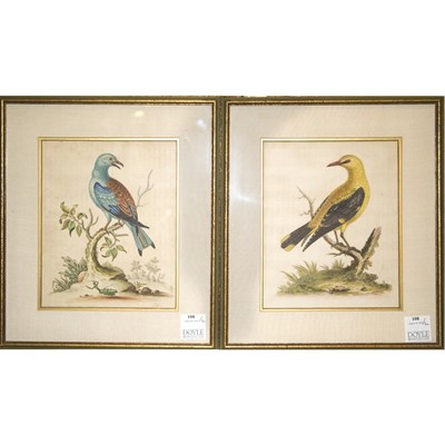 Lot 108 - George Edwards [BIRD STUDIES] Two hand-colored...