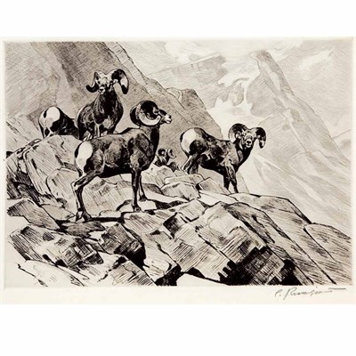 Lot 503 - Carl Rungius AMONG THE CRAGS (C. 33) Etching...