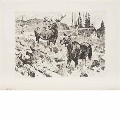 Lot 504 - Carl Rungius (1869-1959) THE STRANGER; YOUNG...