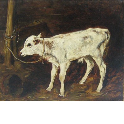 Lot 32 - Attributed to John Emms Study of a Calf Oil on...