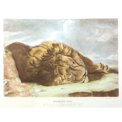 Lot 1023 - J. F. Lewis SLEEPING LION Hand-colored print....